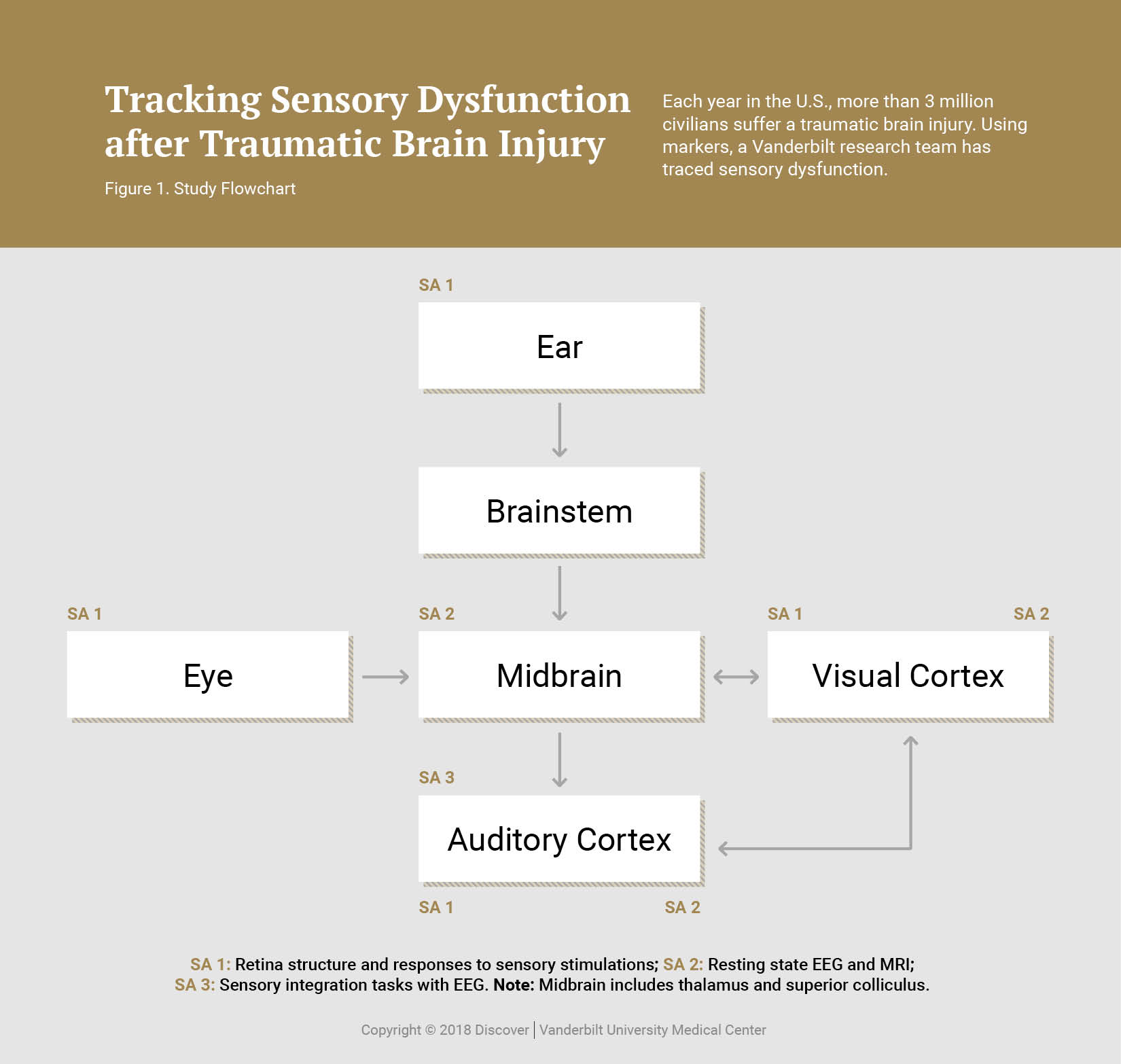 Tracking Retinal Damage After Traumatic Brain Injury