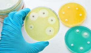 Global Network Tackles Antibiotic Resistance